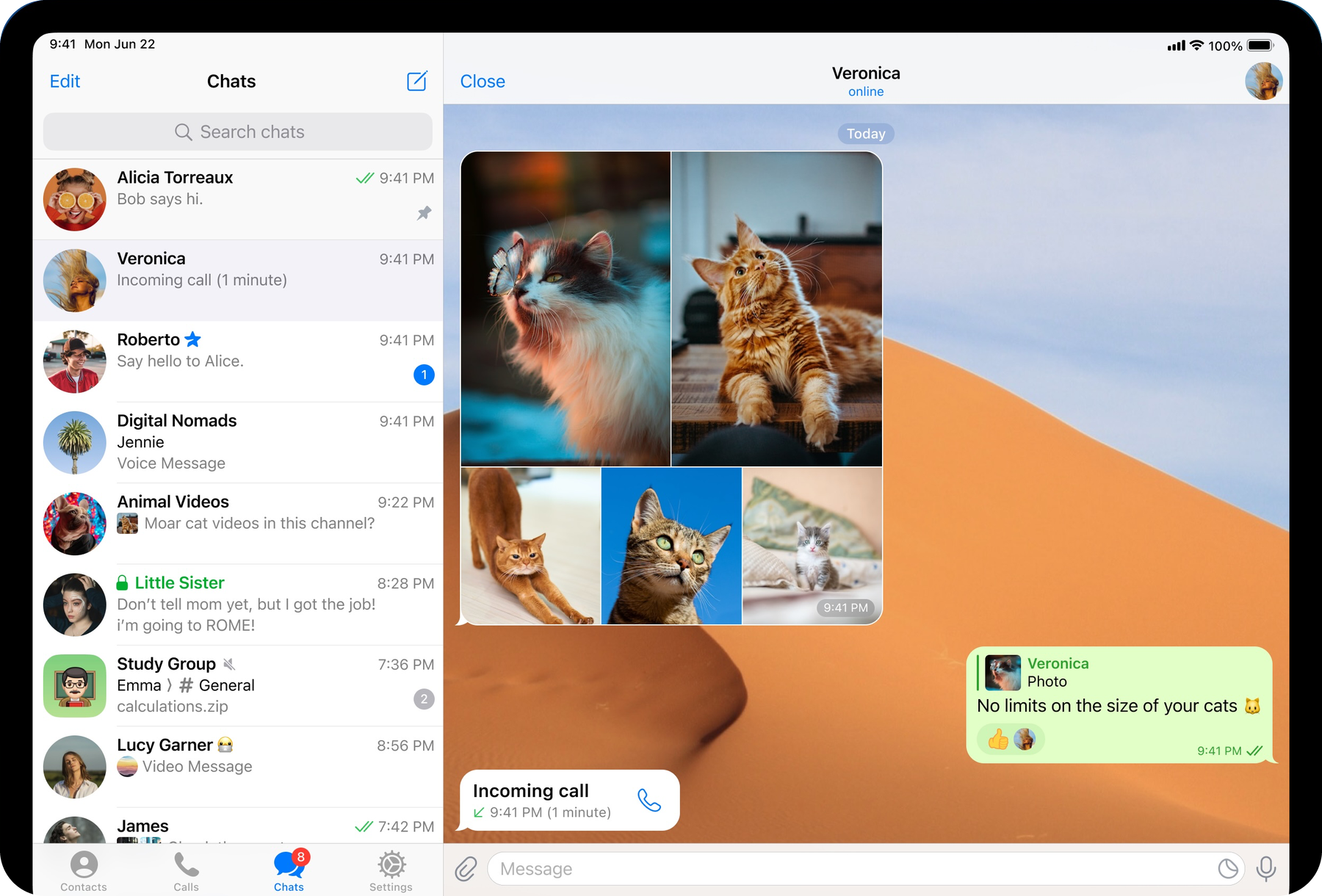 A Telegram conversation on the desktop app